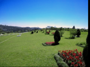 Coroa de Flores Cemitério Memorial Parque das Cerejeiras - São Paulo