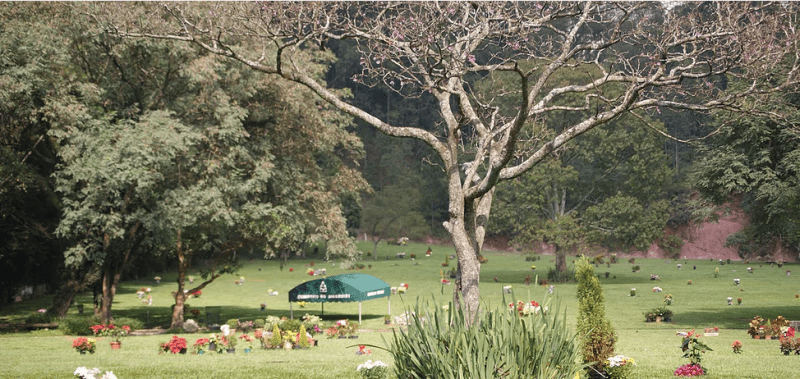  Cemitério do Morumbi - São Paulo