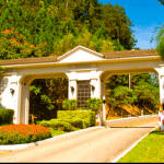  Cemitério Parque dos Pinheiros - São Paulo