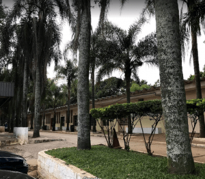 Coroa de Flores Cemitério São Luis - São Paulo