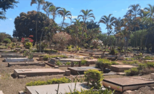 Coroa de Flores Cemitério Campo da Esperança – Brasília