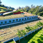 Coroa de Flores Cemitério Alphacampus – Jandira