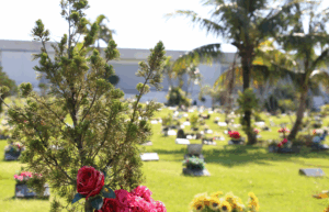 Coroa de Flores Cemitério Parque Crisântemos – Itajaí