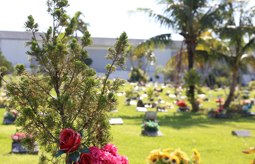  Cemitério Parque Crisântemos - Itajaí