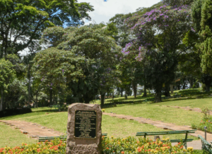 Coroa de Flores Cemitério da Paz – São Roque