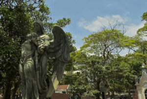 Coroa de Flores Cemitério da Saudade – Santo André