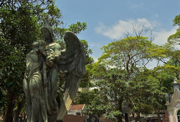  Cemitério da Saudade - Santo André