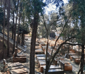 Coroa de Flores Cemitério de Diadema – Diadema