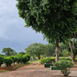  Cemitério do Gama - Brasília