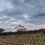 Coroa de Flores Cemitério de Sobradinho – Brasília