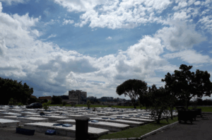 Coroa de Flores Cemitério Carminha – São Bernardo do Campo