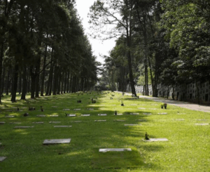 Coroa de Flores Cemitério Jardim Colina – São Bernardo do Campo