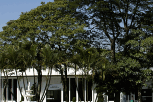 Coroa de Flores Cemitério Memorial Jardim Santo André – Santo André