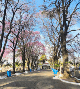 Coroa de Flores Cemitério Municipal – Itu
