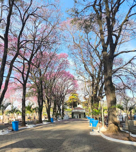  Cemitério Municipal - Itu