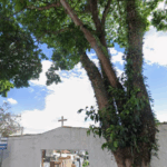 Cemitério Municipal 