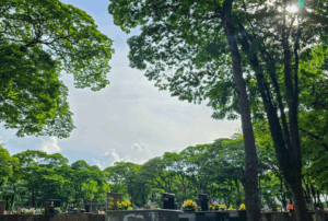 Coroa de Flores Cemitério Municipal  – Maringá