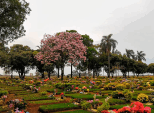 Coroa de Flores Cemitério Municipal Parque dos Indaias- Indaiatuba