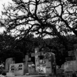  Cemitério Municipal São João - Porto Alegre