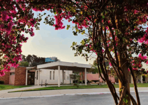 Coroa de Flores Cemitério Jardins Cemitério Parque – Betim