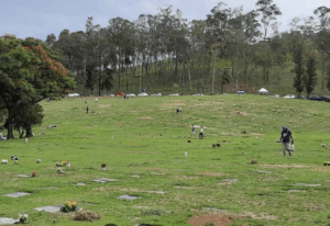 Coroa de Flores Cemitério Parque da Colina – Belo Horizonte