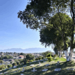 Coroa de Flores Cemitério Parque da Paz – São Gonçalo