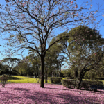 Coroa de Flores Cemitério Parque das Primaveras – Campo Grande