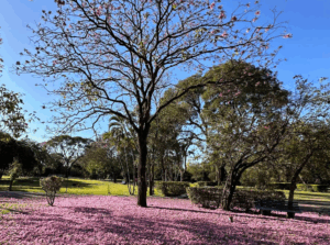 Coroa de Flores Cemitério Parque das Primaveras – Campo Grande