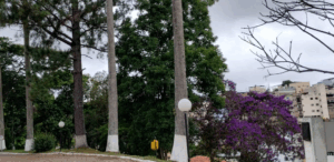 Coroa de Flores Cemitério Parque da Saudade – Juiz de Fora