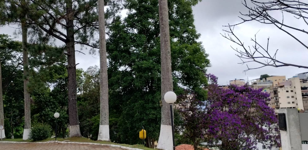  Cemitério Parque da Saudade - Juiz de Fora