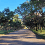 Coroa de Flores Cemitério Parque das Flores – Campinas