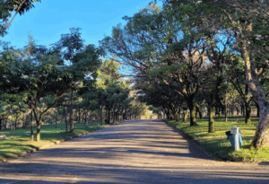 Coroa de Flores Cemitério Parque das Flores – Campinas