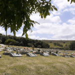 Coroa de Flores Cemitério Parque das Hortências – Caçapava