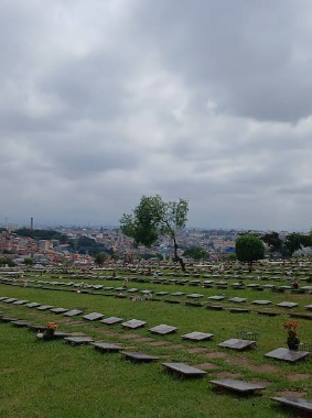  Cemitério Jardim Parque das Palmeiras - Ferraz de Vasconcelos