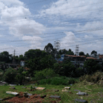 Coroa de Flores Cemitério Parque dos Girassóis – Osasco