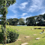 Coroa de Flores Cemitério Parque Jardim das Primaveras I – Guarulhos