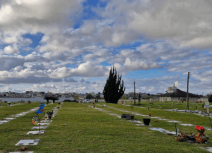 Coroa de Flores Cemitério Parque Memorial da Vida – São José dos Pinhais