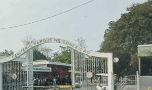 Coroa de Flores Cemitério Parque Nossa Senhora da Conceição – Amarais