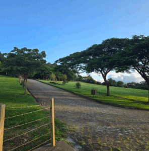 Coroa de Flores Cemitério Parque Velho Vale – Santa Luzia