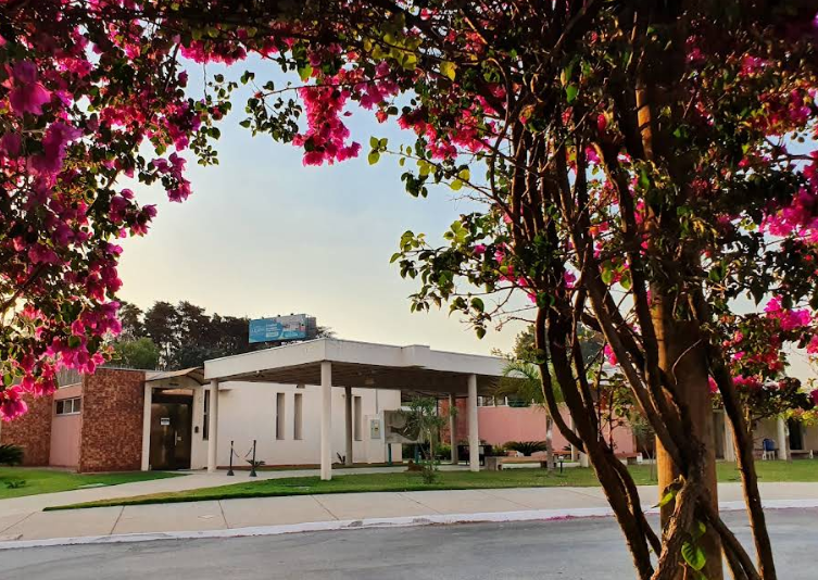  Cemitério Jardins Cemitério Parque - Betim