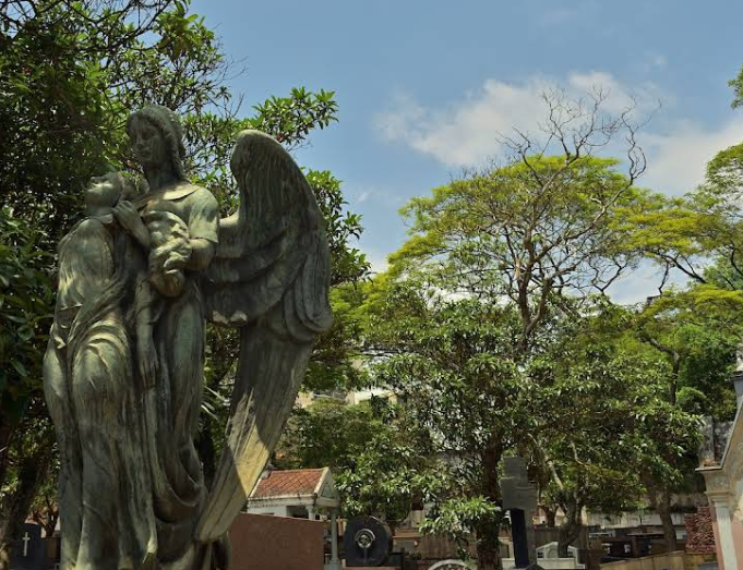  Cemitério de Vila Assunção - Santo André