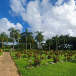 Cemitério Jardim da Saudade 