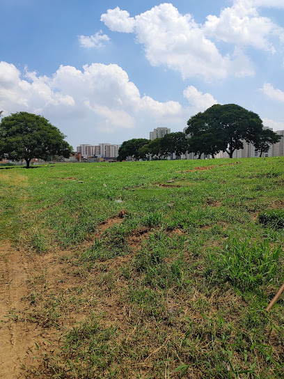  Cemitério Campo Santo - Guarulhos