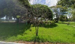 Coroa de Flores Cemitério Municipal de Cajuru – Cajuru