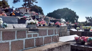 Coroa de Flores Cemitério Nossa Senhora de Fátima – Joinville