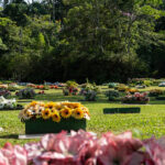 Cemitério Jardim da Paz