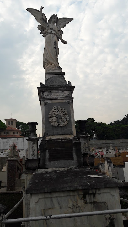  Cemitério Silvestre Amparo - Amparo