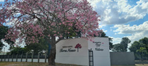 Coroa de Flores Complexo Funerário Terra Nossa – Jaboticabal